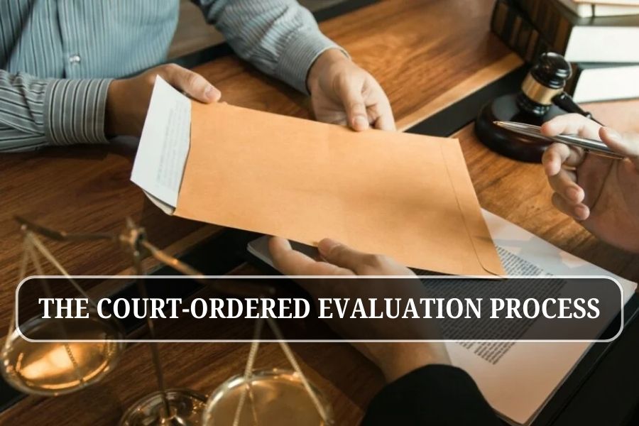 The Court-Ordered Evaluation Process