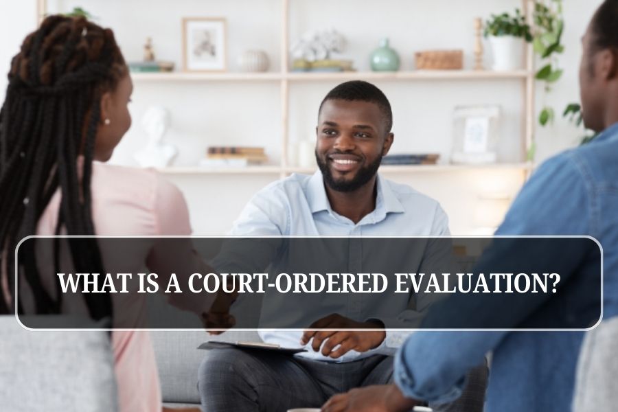 What Is a Court-Ordered Evaluation?