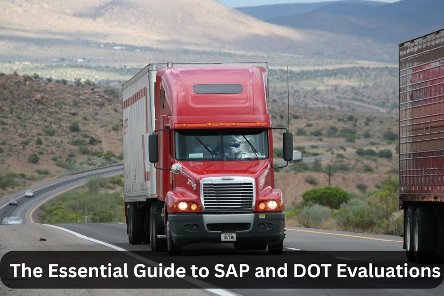 DOT SAP Evaluations: A Roadmap to Returning to Work
