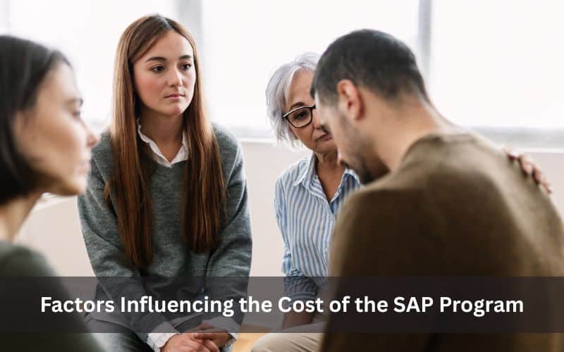 Factors Influencing the Cost of the SAP Program