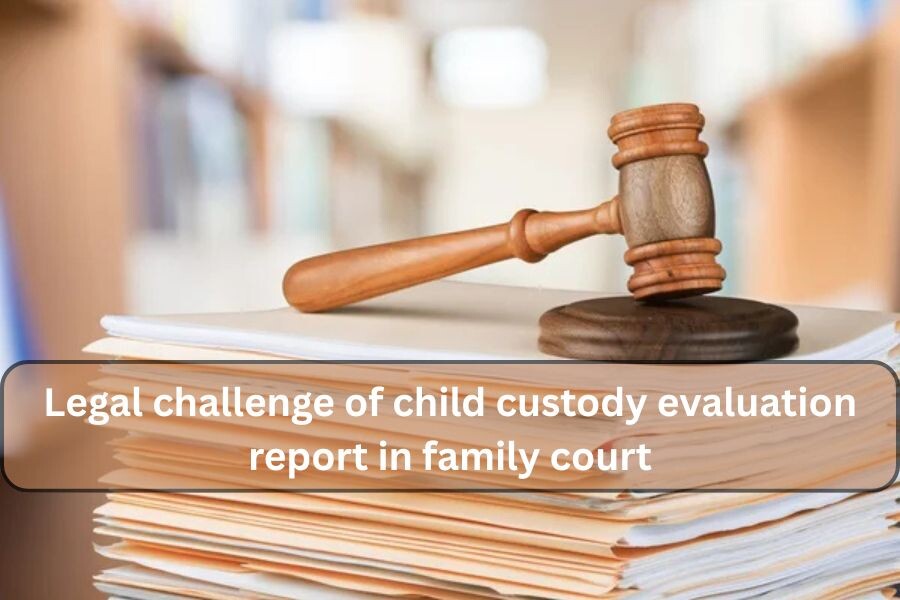 How to Challenge a Negative Child Custody Evaluation in Court: A Parent’s Guide