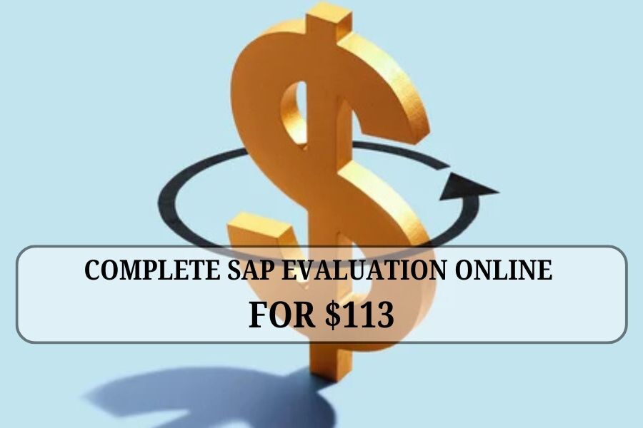 Cheapest SAP Evaluation Online: Is $113 Too Good to Be True?