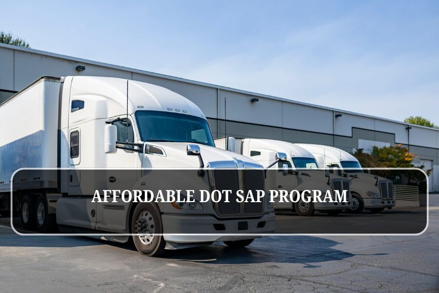Affordable DOT SAP Program That Don’t Compromise Driver Recovery