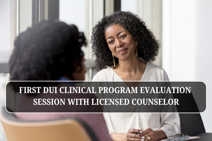 Got a First DUI? Here’s What You Need to Know About Clinical Programs