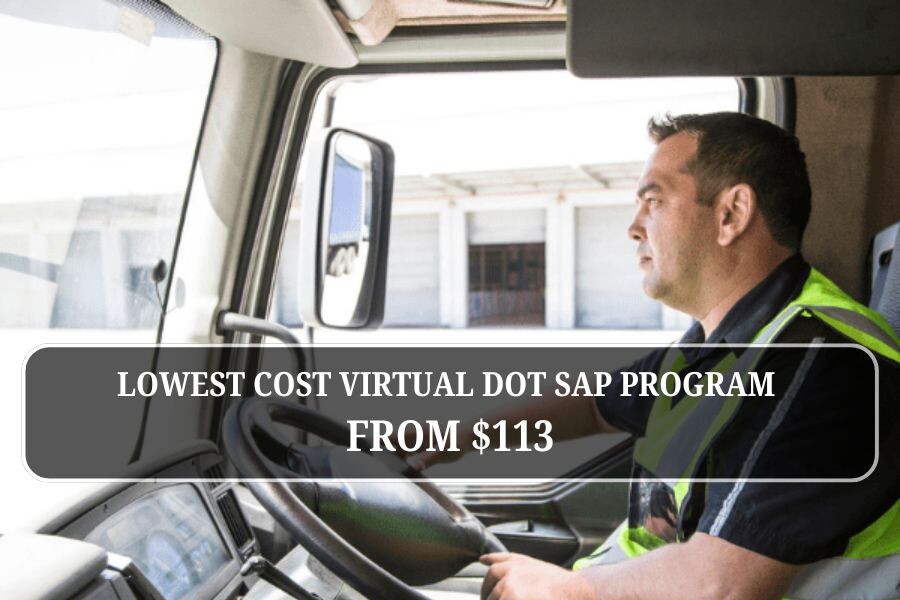 Lowest cost virtual DOT SAP program from $113