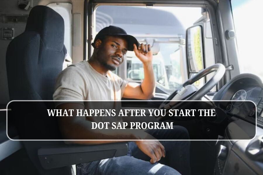 What Happens After You Start the DOT SAP Program