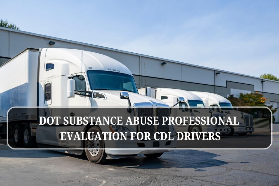 DOT substance abuse professional evaluation for CDL drivers