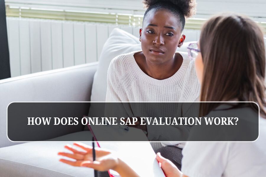 How Does Online SAP Evaluation Work?