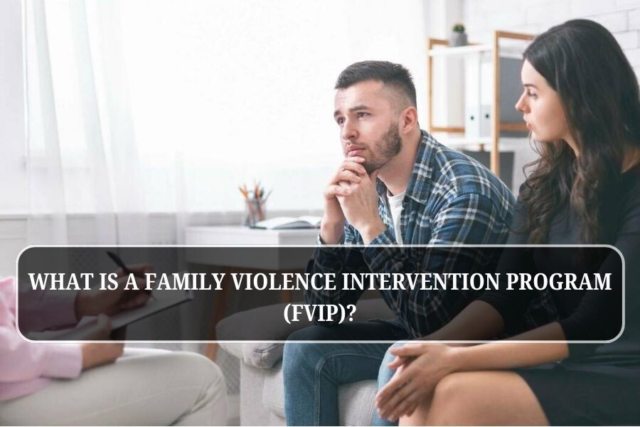 What is a Family Violence Intervention Program (FVIP)?