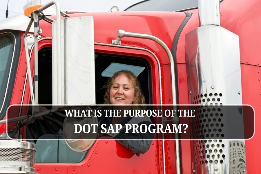 What Happens if You Skip the SAP Program?